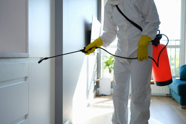 Best HVAC Mold Remediation in Rio Grande, NJ
